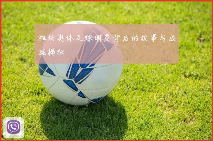 潍坊奥体足球明星背后的故事与成就揭秘