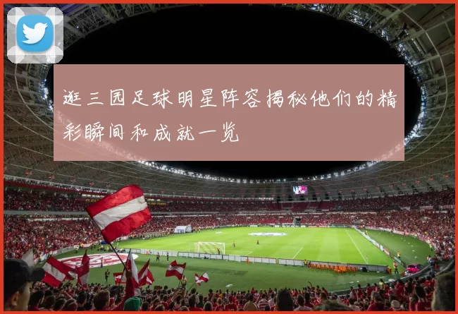 逛三园足球明星阵容揭秘他们的精彩瞬间和成就一览