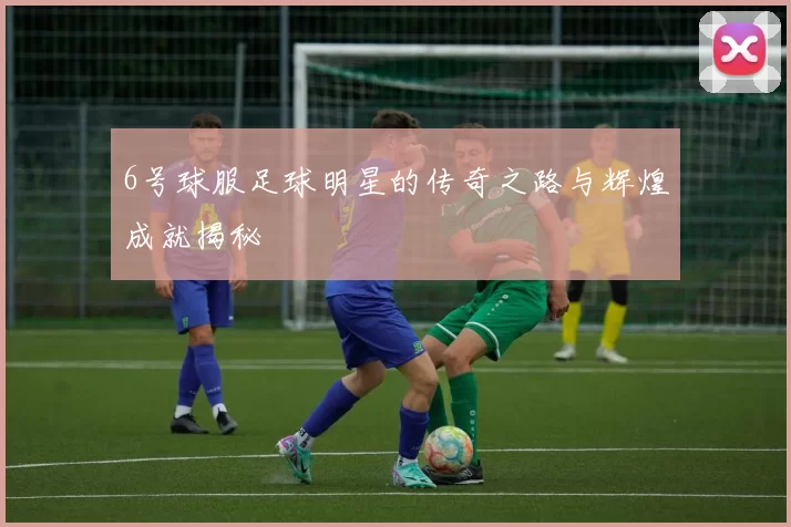 6号球服足球明星的传奇之路与辉煌成就揭秘