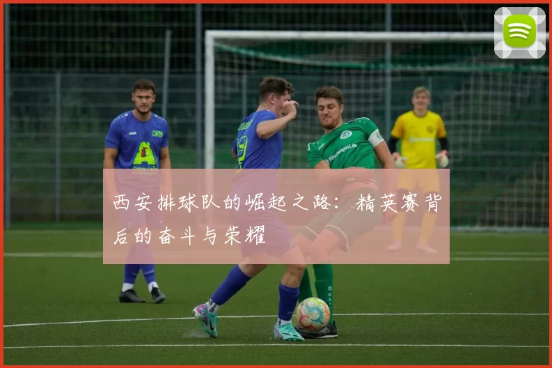 西安排球队的崛起之路：精英赛背后的奋斗与荣耀