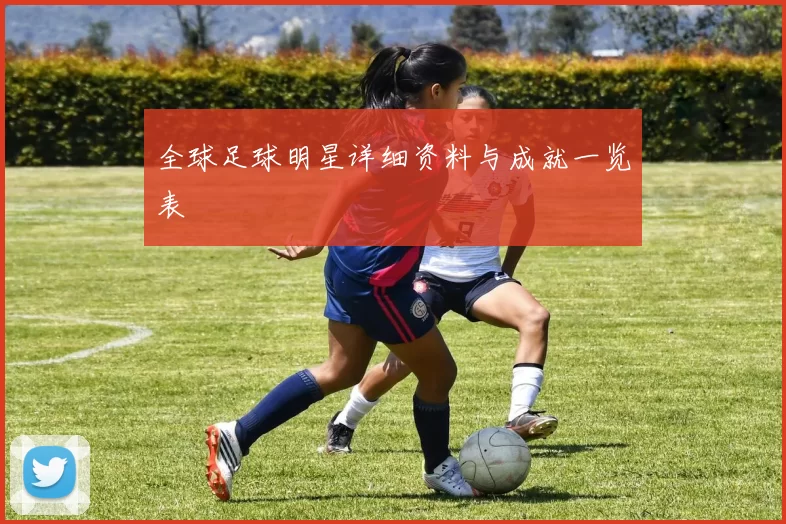 全球足球明星详细资料与成就一览表