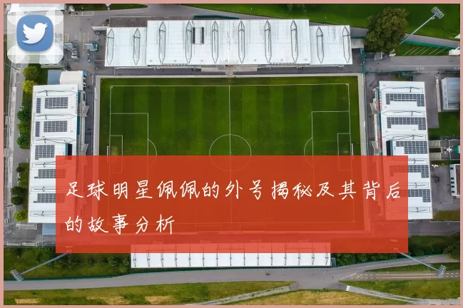 足球明星佩佩的外号揭秘及其背后的故事分析