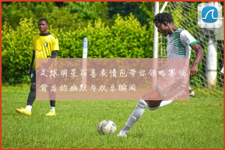 足球明星窃喜表情包带你领略赛场背后的幽默与欢乐瞬间