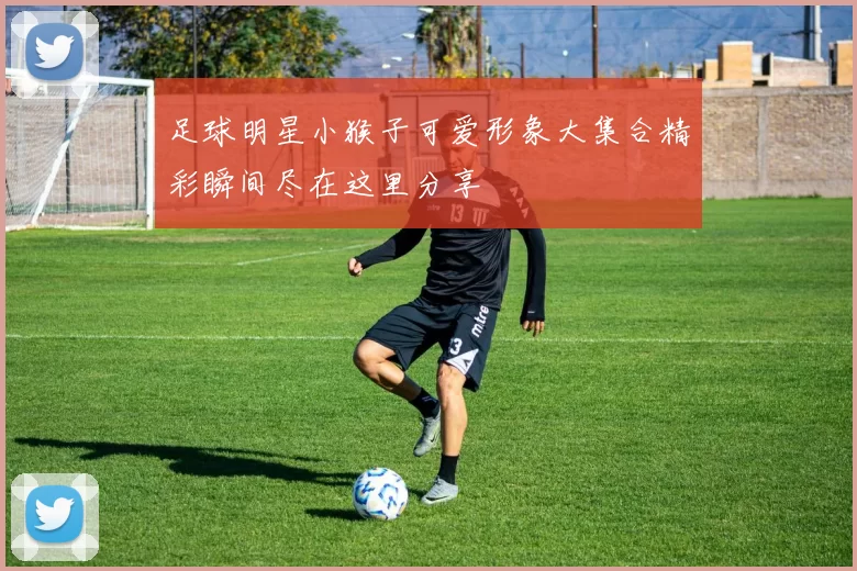 足球明星小猴子可爱形象大集合精彩瞬间尽在这里分享