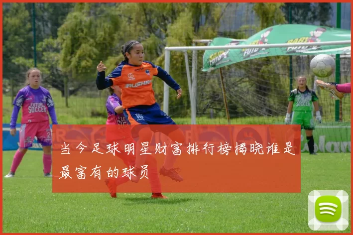 当今足球明星财富排行榜揭晓谁是最富有的球员