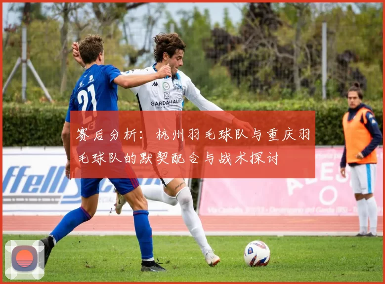 赛后分析：杭州羽毛球队与重庆羽毛球队的默契配合与战术探讨